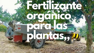 FERTILIZANTE ORGÁNICO PARA LAS PLANTAS 🌱 [upl. by Ytirahs993]