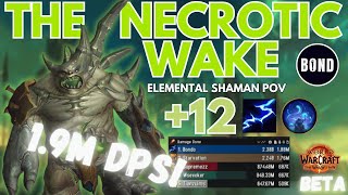 Necrotic Wake 12  Farseer Elemental Shaman  TWW Beta [upl. by Nwahshar]