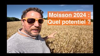 Moisson 2024  bon rendement  Ou mauvaise année [upl. by Anirtap273]