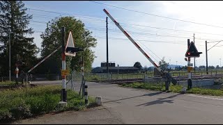 Bahnübergang Bettlach CH  Swiss Railroad Crossing [upl. by Rannug]