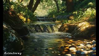 Listen to the sound of the stream flowing relax your body and mind and help you sleepstudy [upl. by Eimmelc292]