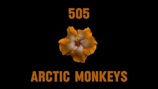 Arctic Monkeys  505 Lyrics [upl. by Narhet283]