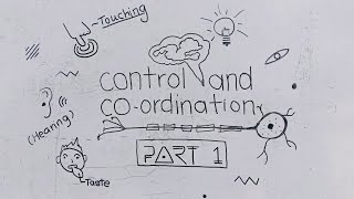 Control And Coordination  Class 10 CBSE SciBKPV2 class 10 sci ch 7 control and coordination bkp [upl. by Fosque141]