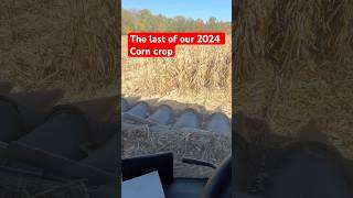 This is it The last of our corn 2024 [upl. by Lorene539]