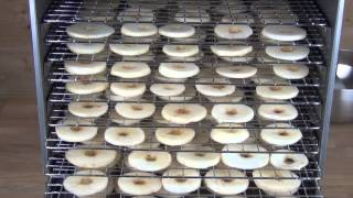 Weston 10 Tray Stainless Steel Dehydrator Overview amp Demonstration drying Apples [upl. by O'Conner]