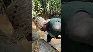 Professional Rock Cracking  Watch the Experts at Work rockhounding gold gems [upl. by Trumaine]