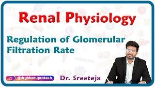 Regulation of Glomerular Filtration Rate  Physiology USMLE Step 1 [upl. by Downall]