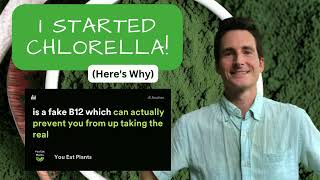 I STARTED Chlorella After I Stopped Spirulina Heres Why [upl. by Fishbein785]