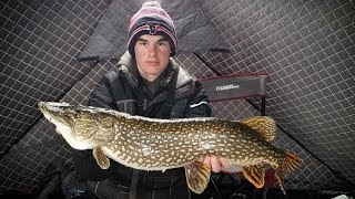 Ice Fishing Conesus Lake  Big Pike And Bass On Tip Ups [upl. by Ellehcsar]