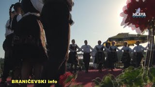 Rakijada Ranovac RTV MLAVA 03082017 [upl. by Shimberg]