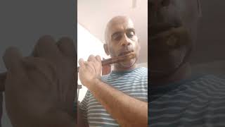 Vizhigalin aruginil vaanam flute rameshvinayagam legendary music azhagiyatheeye flutemusic flute [upl. by Linea660]