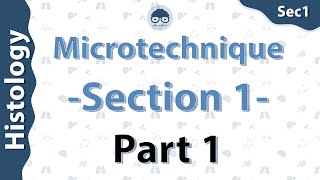 Histology  Microtechnique  part 1  Dr Amro Ashraf [upl. by Bowerman]