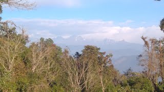 Sillery Gaon North Bengal East Sikkim Sight Scene  SHORTS [upl. by Ahsenal]