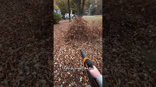 Master the Art of Leaf Blowing 🍂💨 Best Technique Revealed [upl. by Silvanus]