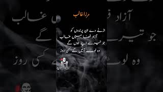 Mirza Ghalib Shayari goldenpoetry​ urdupoetry​ viralpost​ ytshorts​ viralvideo​ explore​ [upl. by Ydniahs]