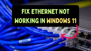 How to Fix Ethernet Not Working in Windows 11 [upl. by Nance498]