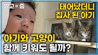 아기와 고양이는 함께 살아도 되는 걸까 태어났더니 3마리의 집사가 된 아기와 아기가 궁금한 고양이│고양이를 부탁해│알고e즘 [upl. by Ollehto]