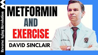 DAVID SINCLAIR “Metformin amp Exercise”  Dr David Sinclair Interview Clips [upl. by Burra]