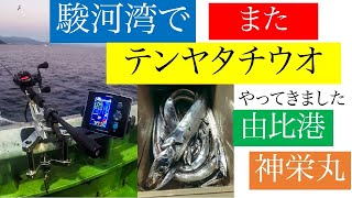 【駿河湾】でまたしても【タチウオテンヤ】！！ [upl. by Merrilee]