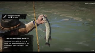 Catching the legendary Chain Pickerel RED DEAD REDEMPTION 2 [upl. by Derk]