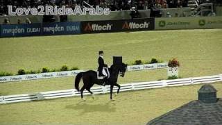 Edward Gal and Moorlands Totilas WEGS 2010 Freestyle Dressage [upl. by Zirkle]