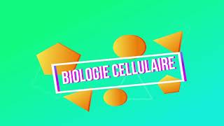 Biologie cellulaire  la membrane plasmique partie 1 [upl. by Ardnaeel]