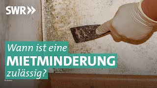 Mietminderung und Räumungsklage Krach zwischen Mieter und Vermieter  Marktcheck SWR [upl. by Annoyi]