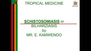 schistosomiasis 1 [upl. by Ibot]