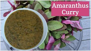 AMARANTHUS CURRY  Red Thotakura Pappu with Green Tomatoes  Healthy Amaranthus Dal Sabji [upl. by Aracat]