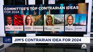 Top contrarian ideas of 2024 [upl. by Effie93]