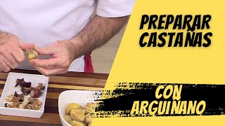 Nunca pensé que PREPARAR CASTAÑAS fuese tan fácil  Receta de Arguiñano [upl. by Haile111]