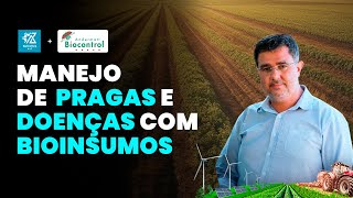 COMO MANEJAR PRAGAS E DOENÇAS COM BIOINSUMOS [upl. by Mallissa413]