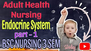 Endocrine System Part  1  AHN  BSC NURSING 3 SEMESTER [upl. by Stegman]