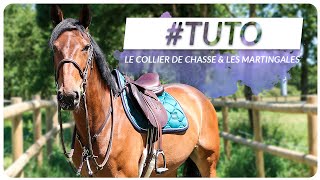 LE COLLIER DE CHASSE ET LA MARTINGALE  À quoi ça sert tout ça  🤨  OHLALATIPS [upl. by Ennair40]