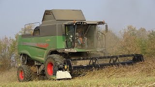 Fendt 5275 C PLI  Cressoni SoiaFlex 54 m [upl. by Atlanta346]