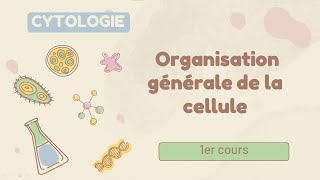 Cytologie  Organisation générale de la cellule  cours de 1er année medecine [upl. by Sproul]