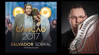 Luisa amp Salvador Sobral  Amar Pelos Dois ZitherCover [upl. by Mario317]