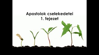 Apostolok cselekedetei 1 fejezet  Folk Zsuzsa [upl. by Rosenblast]