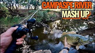 Experience the Thrill of Catching Campaspe Murray Cod Hardbody Spinnerbaits amp Surface Lures Mix [upl. by Wier733]