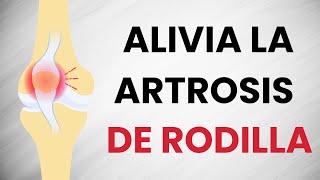 🦵 Elimina el DOLOR de la ARTROSIS de RODILLA haciendo estos ejercicios [upl. by Way]