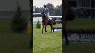 ALDONA shorts shortsviral horse tiktok blenheim riding bpiht viral fyp [upl. by Swamy395]