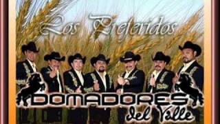 los domadores del valle rumor de cumbia [upl. by Tronna]