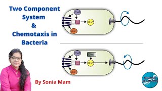 CSIR UGC NET  Two Component System amp Chemotaxis in Bacteria  BiologyAllInOne [upl. by Carothers]