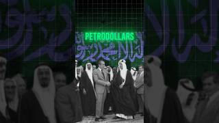 Petrodollar Deal End  pakistan saudiarabia usa india youtibeshorts [upl. by Ettigirb429]