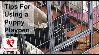 Tips for Using a Puppy Playpen [upl. by Etnauq]