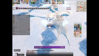 【マビノギ】ホワイトドラゴン ソロ エルフ 日本  White Dragon Solo Elf JP【Mabinogi】 [upl. by Kcerb]