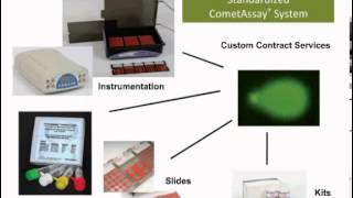 Introduction to the CometAssay® [upl. by Ardnikal]