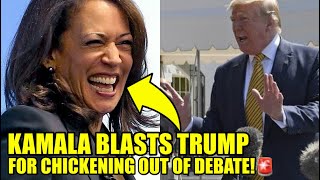 Kamala RIPS Trump As He BAILS On Debating Her With AWFUL Excuse [upl. by Rustie480]