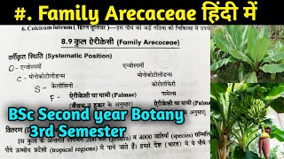 Family Arecaceae in hindi  BSc first year Botany Third Semester [upl. by Atiekan439]