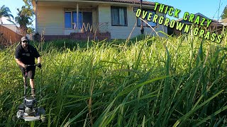 FREE Lawn Mowing Of Satisfyingly THICK Overgrown Long Grass  EPIC TRANSFORMATION [upl. by Svend]